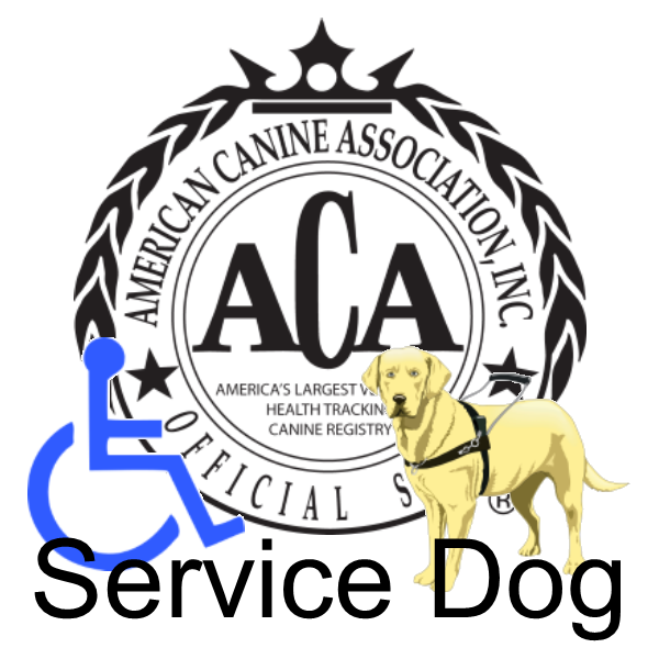 american kennel club dog registration