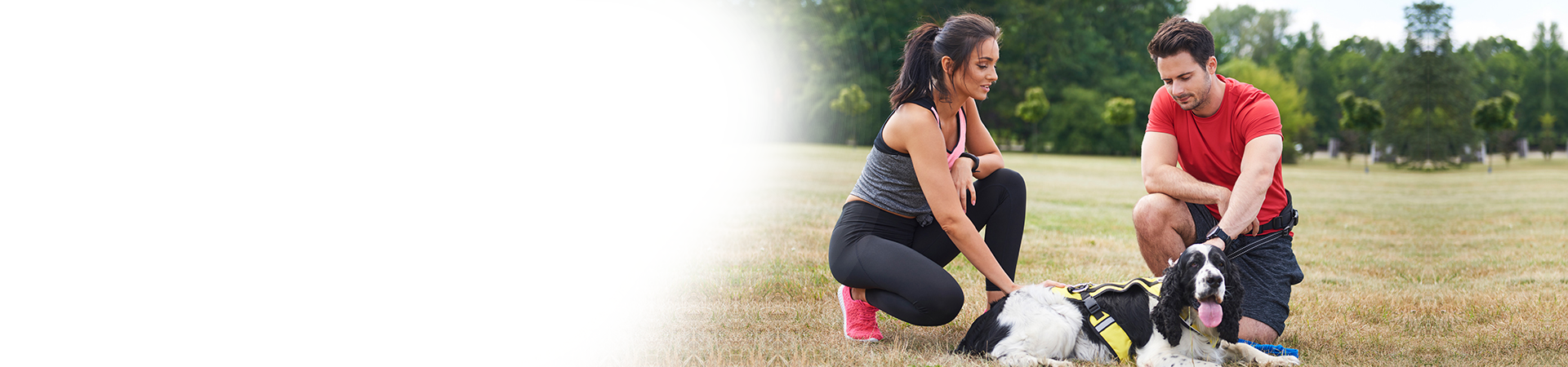   Work with your dog   to improve its behavior